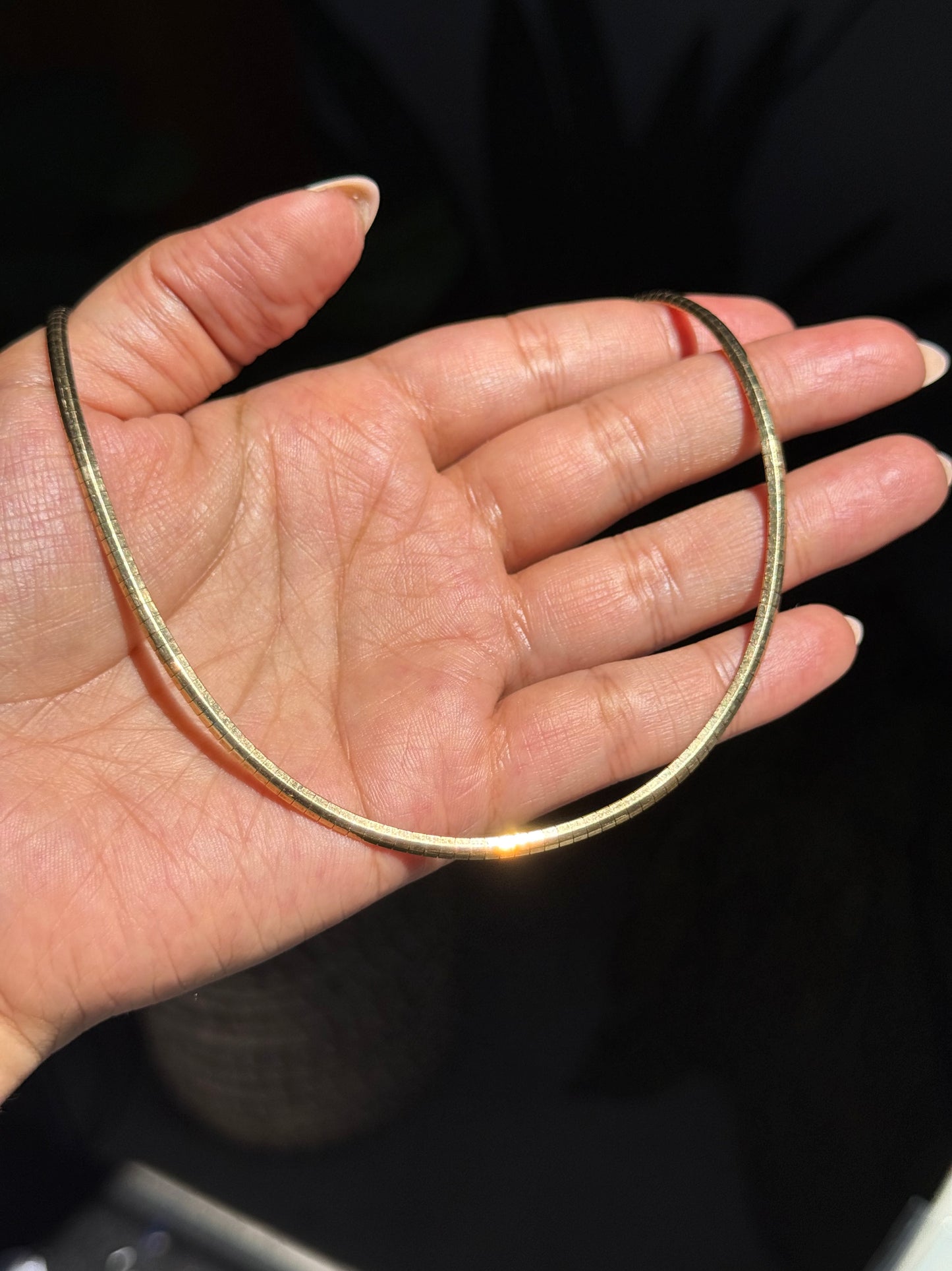 14k Faceted Omega Chain
