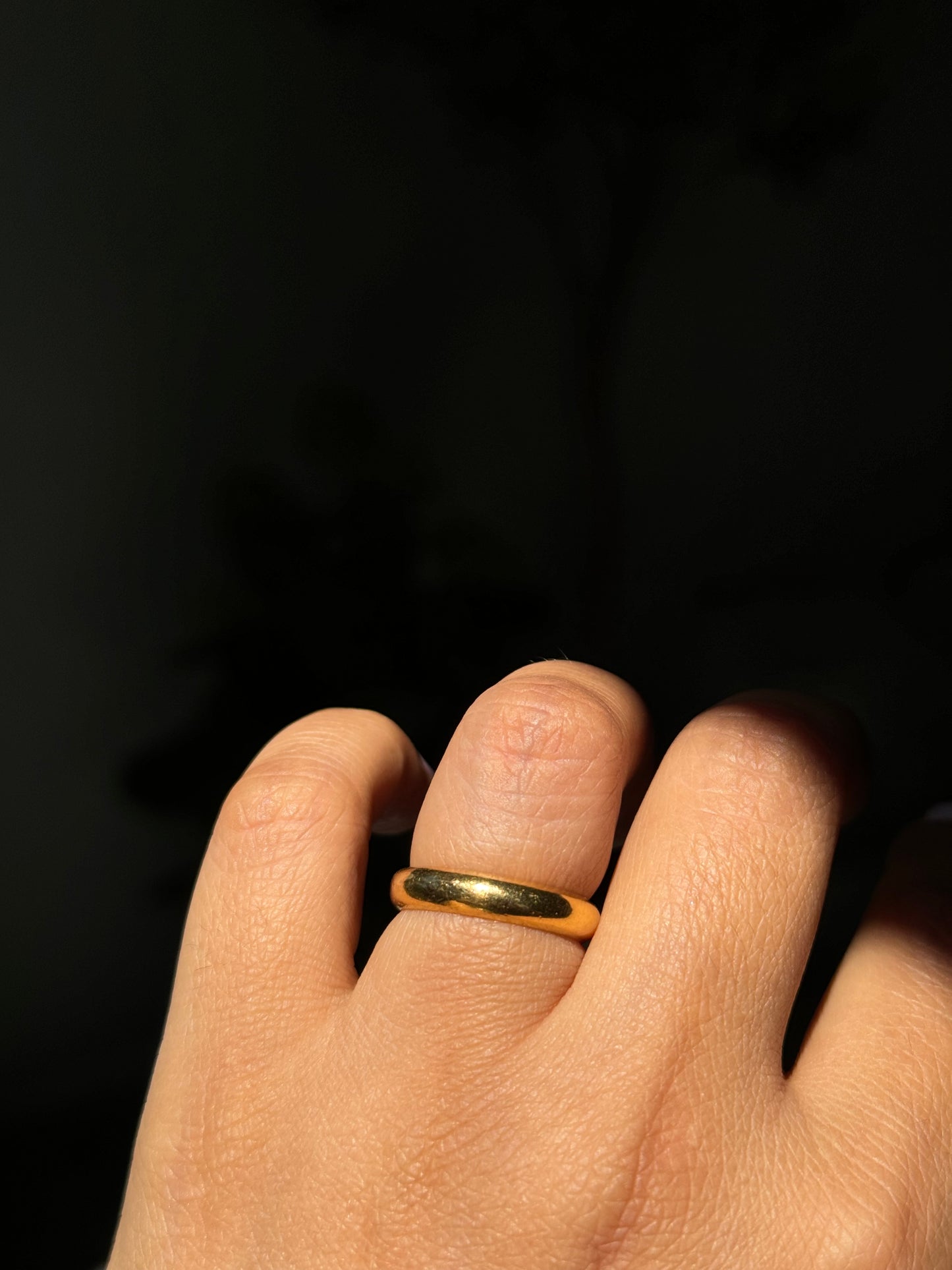22k donut Band
