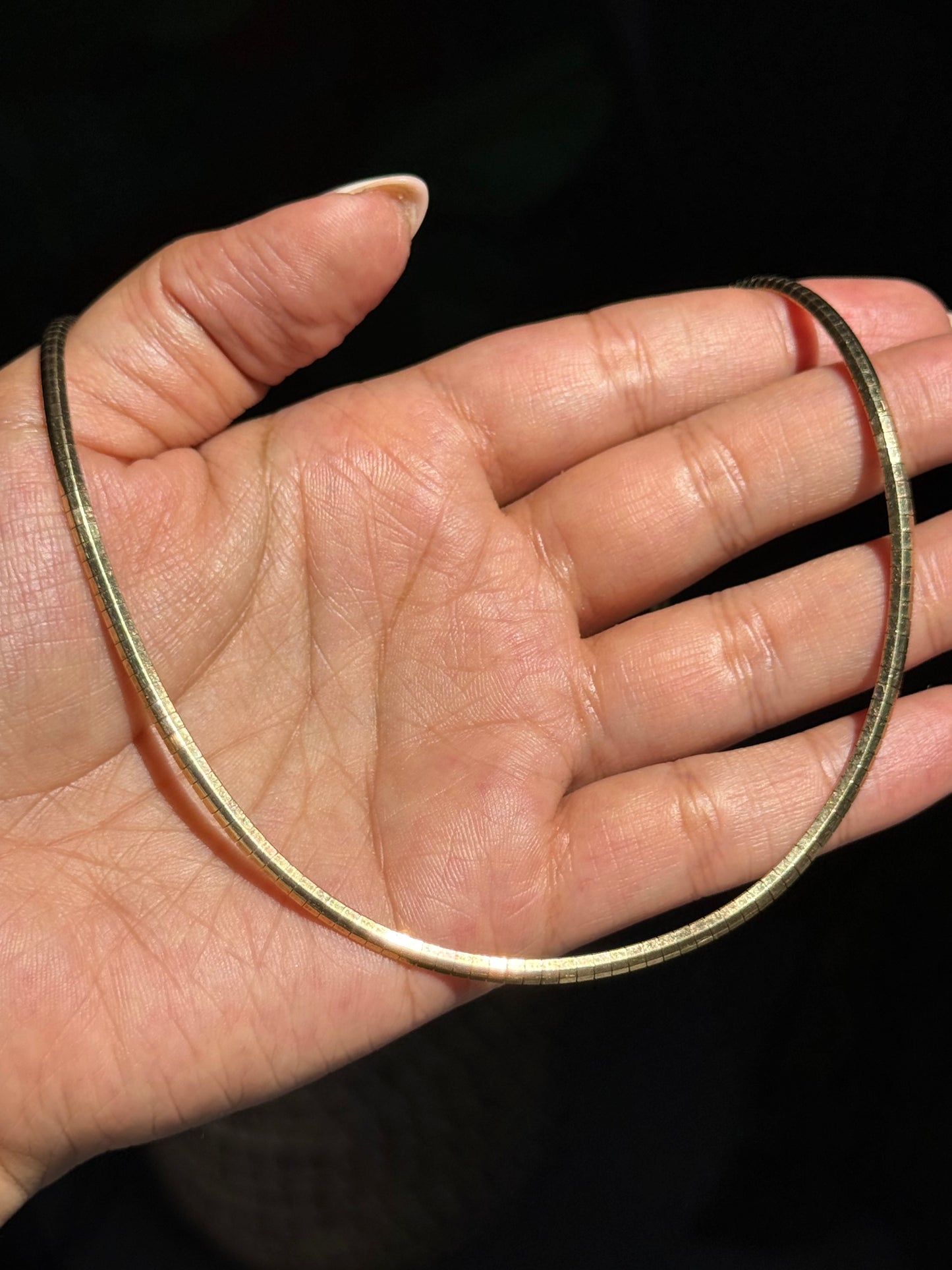 14k Faceted Omega Chain