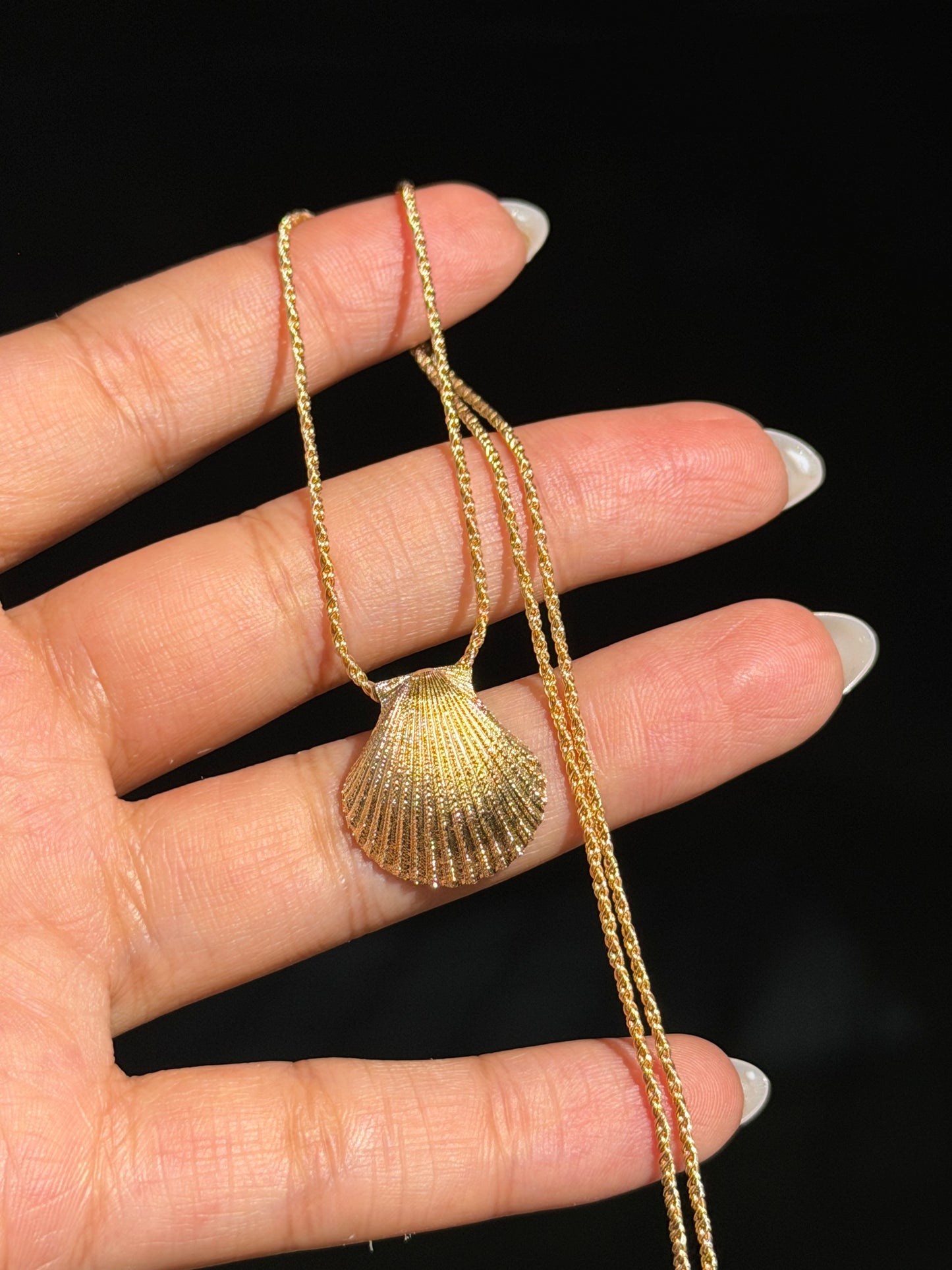 14k Italian seashell necklace