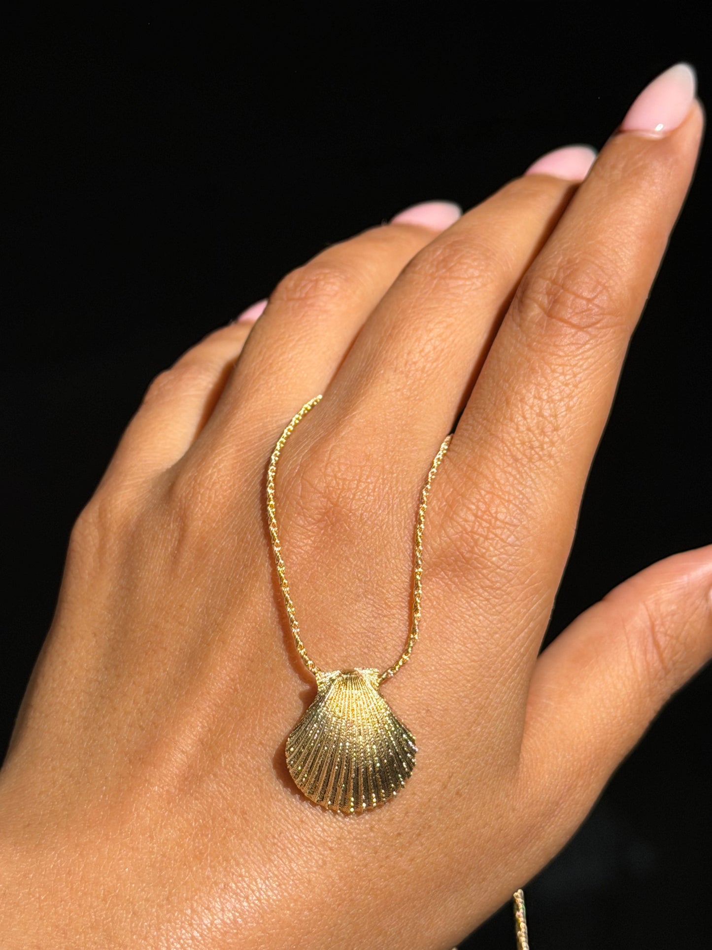 14k Italian seashell necklace
