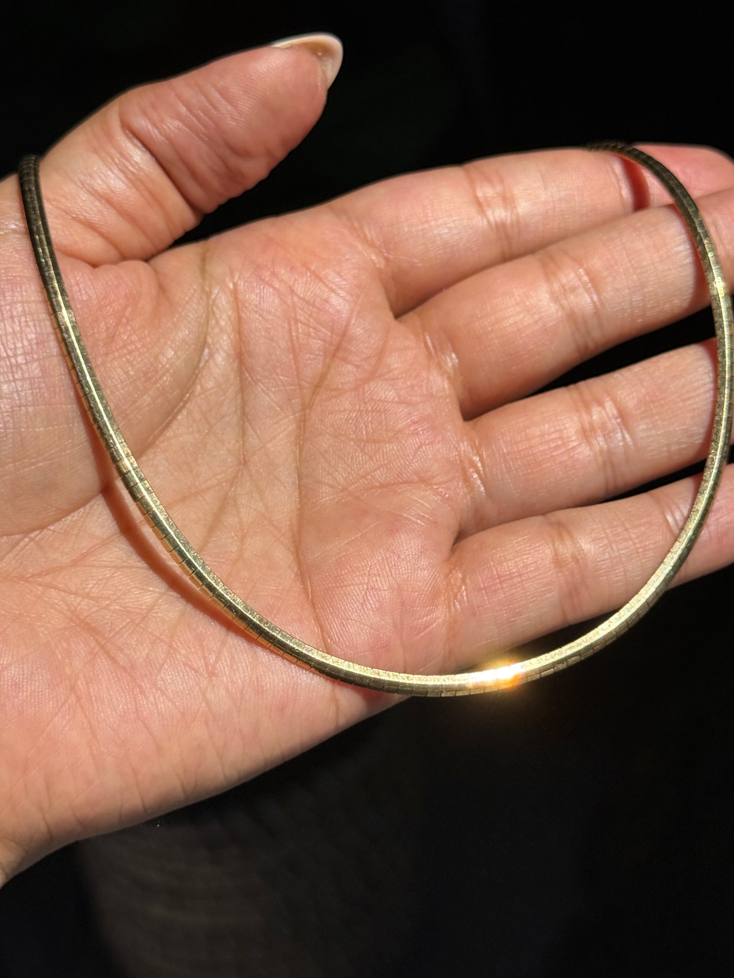 14k Faceted Omega Chain
