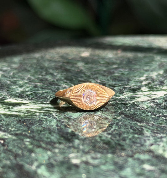 Hexagon Horus ✨
